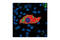 Patatin Like Phospholipase Domain Containing 2 antibody, 2439S, Cell Signaling Technology, Immunofluorescence image 
