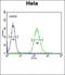 Glycogen Synthase Kinase 3 Alpha antibody, orb214019, Biorbyt, Flow Cytometry image 