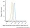 Actin Alpha 2, Smooth Muscle antibody, NBP2-34760AF647, Novus Biologicals, Flow Cytometry image 