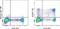 Killer Cell Lectin Like Receptor G1 antibody, 12-9487-41, Invitrogen Antibodies, Flow Cytometry image 