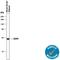 Uncoupling Protein 2 antibody, AF4739, R&D Systems, Western Blot image 