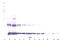 Interleukin 31 antibody, 38-241, ProSci, Western Blot image 