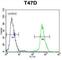 Nucleoporin 210 antibody, abx034590, Abbexa, Western Blot image 