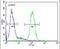 S100 Calcium Binding Protein Z antibody, PA5-24124, Invitrogen Antibodies, Flow Cytometry image 