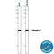 Annexin A2 antibody, AF3928, R&D Systems, Western Blot image 