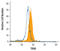 T-cell receptor-associated transmembrane adapter 1 antibody, AF4708, R&D Systems, Flow Cytometry image 