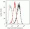 Proteasome activator complex subunit 3 antibody, 700180, Invitrogen Antibodies, Flow Cytometry image 