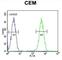 Cysteine Rich C-Terminal 1 antibody, abx025567, Abbexa, Western Blot image 