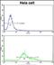 Serine/Threonine Kinase Receptor Associated Protein antibody, PA5-72366, Invitrogen Antibodies, Flow Cytometry image 