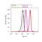 DISC1 Scaffold Protein antibody, 701172, Invitrogen Antibodies, Flow Cytometry image 