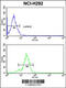 Thymine DNA Glycosylase antibody, 62-365, ProSci, Flow Cytometry image 