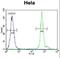EMG1 N1-Specific Pseudouridine Methyltransferase antibody, LS-C167747, Lifespan Biosciences, Flow Cytometry image 