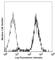 C-C Motif Chemokine Receptor 5 (Gene/Pseudogene) antibody, 107006, BioLegend, Flow Cytometry image 