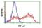 Replication Factor C Subunit 2 antibody, NBP2-03934, Novus Biologicals, Flow Cytometry image 