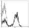 CD28 antibody, 13-0289-80, Invitrogen Antibodies, Flow Cytometry image 