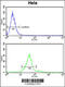 Polypeptide N-Acetylgalactosaminyltransferase 2 antibody, 63-901, ProSci, Flow Cytometry image 