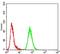 Transcription Factor AP-2 Alpha antibody, NBP2-52572, Novus Biologicals, Flow Cytometry image 