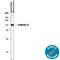 Cadherin 13 antibody, AF3264, R&D Systems, Western Blot image 