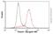 Tubulin antibody, ab6161, Abcam, Flow Cytometry image 