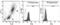 Serpin Family B Member 9 antibody, MA5-17648, Invitrogen Antibodies, Flow Cytometry image 