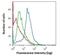 AIF1 antibody, PA5-27436, Invitrogen Antibodies, Flow Cytometry image 