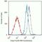 Protein Kinase C Theta antibody, 700043, Invitrogen Antibodies, Flow Cytometry image 