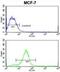 Adenylate Cyclase 7 antibody, abx034352, Abbexa, Flow Cytometry image 