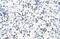 Ferrochelatase antibody, NBP1-54863, Novus Biologicals, Immunohistochemistry paraffin image 
