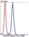 CAMP Responsive Element Binding Protein 1 antibody, NBP2-67274, Novus Biologicals, Flow Cytometry image 