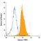 Liver-type arginase antibody, IC8026A, R&D Systems, Flow Cytometry image 