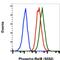 RELB Proto-Oncogene, NF-KB Subunit antibody, MA5-28048, Invitrogen Antibodies, Flow Cytometry image 