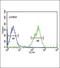 Mitogen-Activated Protein Kinase Kinase Kinase Kinase 3 antibody, PA5-26859, Invitrogen Antibodies, Flow Cytometry image 