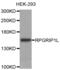 RPGRIP1 Like antibody, abx002648, Abbexa, Western Blot image 