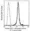 Aminoacylase 1 antibody, GTX02006, GeneTex, Flow Cytometry image 