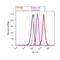 Autophagy Related 4B Cysteine Peptidase antibody, 701882, Invitrogen Antibodies, Flow Cytometry image 