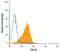 TNF Receptor Superfamily Member 1B antibody, AF-426-PB, R&D Systems, Flow Cytometry image 