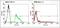 T Cell Receptor Alpha Constant antibody, TCR2663, Invitrogen Antibodies, Flow Cytometry image 