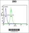 Potassium Voltage-Gated Channel Subfamily Q Member 1 antibody, 63-714, ProSci, Flow Cytometry image 