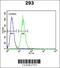 Potassium voltage-gated channel subfamily KQT member 1 antibody, 63-714, ProSci, Flow Cytometry image 