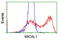 Microtubule Associated Monooxygenase, Calponin And LIM Domain Containing 1 antibody, TA501849, Origene, Flow Cytometry image 