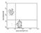 CD5 Molecule antibody, NBP1-26703, Novus Biologicals, Flow Cytometry image 