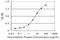 Doublecortin Like Kinase 1 antibody, H00009201-M03, Novus Biologicals, Enzyme Linked Immunosorbent Assay image 