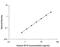 Surfactant Protein D antibody, DSFPD0, R&D Systems, Enzyme Linked Immunosorbent Assay image 