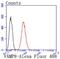 Vesicle Associated Membrane Protein 8 antibody, NBP2-66777, Novus Biologicals, Flow Cytometry image 