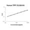 Tripeptidyl Peptidase 1 antibody, EK2042, Boster Biological Technology, Enzyme Linked Immunosorbent Assay image 