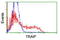 TRAF-interacting protein antibody, TA800091, Origene, Flow Cytometry image 