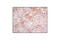 Eukaryotic Translation Initiation Factor 2 Subunit Alpha antibody, 3398T, Cell Signaling Technology, Immunohistochemistry paraffin image 