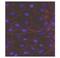 Cadherin 3 antibody, GTX52961, GeneTex, Immunocytochemistry image 