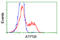 ATP Synthase F1 Subunit Beta antibody, LS-C114905, Lifespan Biosciences, Flow Cytometry image 