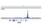 Lymphoid Enhancer Binding Factor 1 antibody, 76010S, Cell Signaling Technology, Chromatin Immunoprecipitation image 